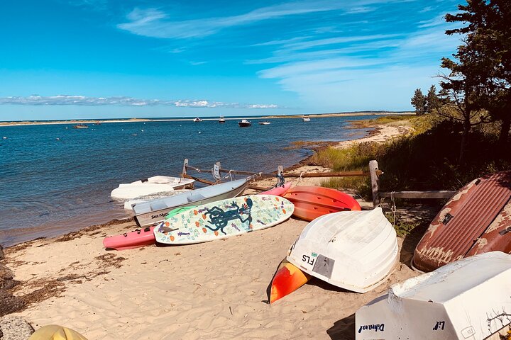Marthas Vineyard Luxury Tour (2hrs)