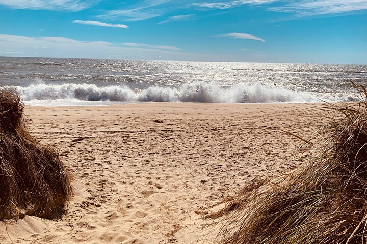 Marthas Vineyard Luxury Tour (2hrs)