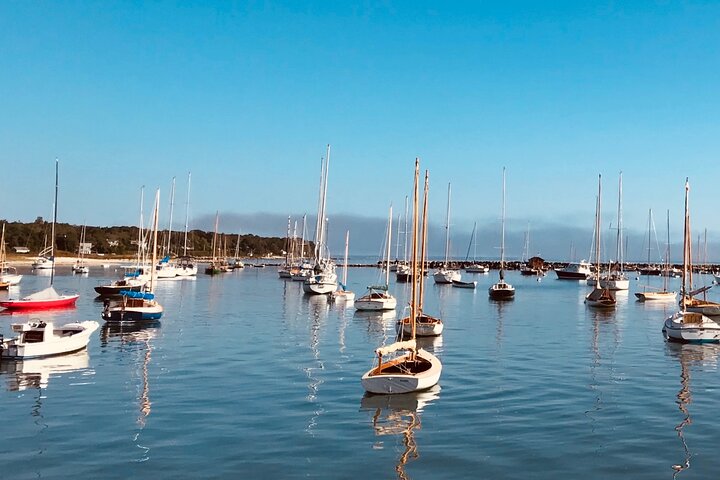 Marthas Vineyard Luxury Tour (2hrs)