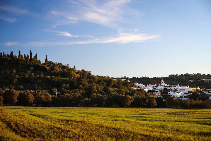 Buggy Expedition - Half-Day Off-Road Guided Tour from Albufeira