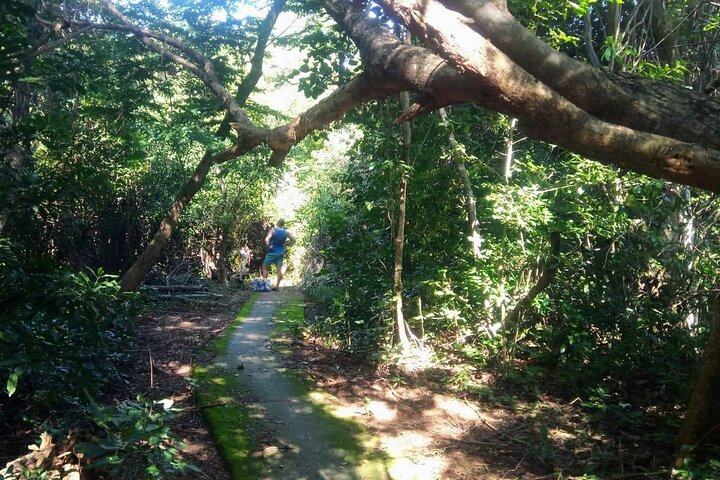 Roqueta Island: Hike, Snorkel & Beach Escape