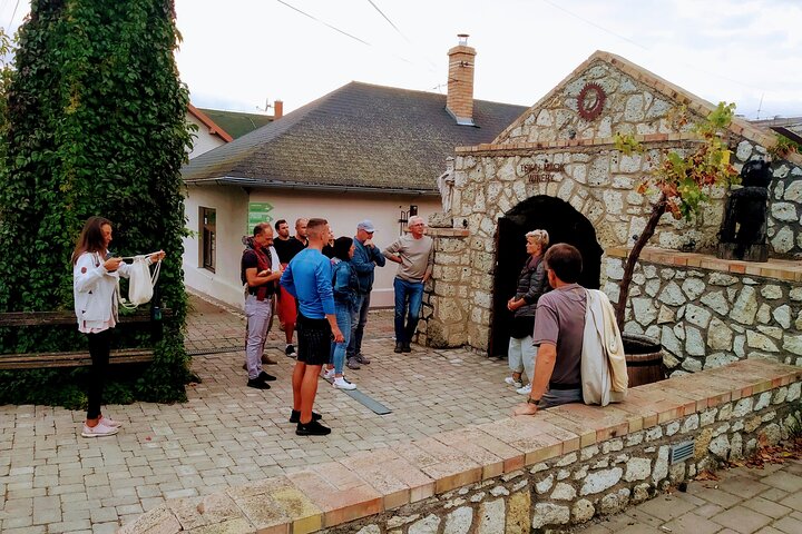 Full-Day Tokaj Wine & Cellar Tour from Kosice