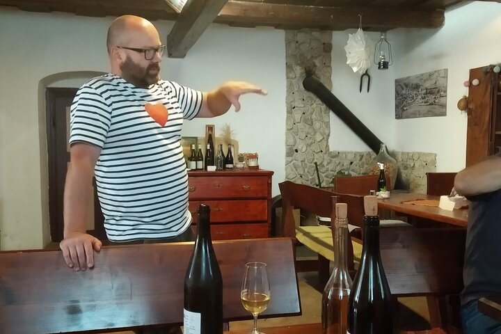 Full-Day Tokaj Wine & Cellar Tour from Kosice