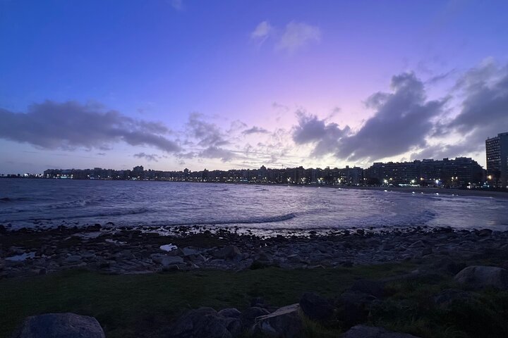 Tailor-made Montevideo: Private City Tour with a Local