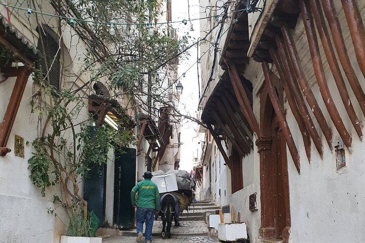 Algiers Casbah Tour