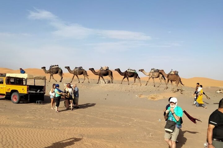 ✅ Camel Ride and Overnight in Sahara Desert Camp