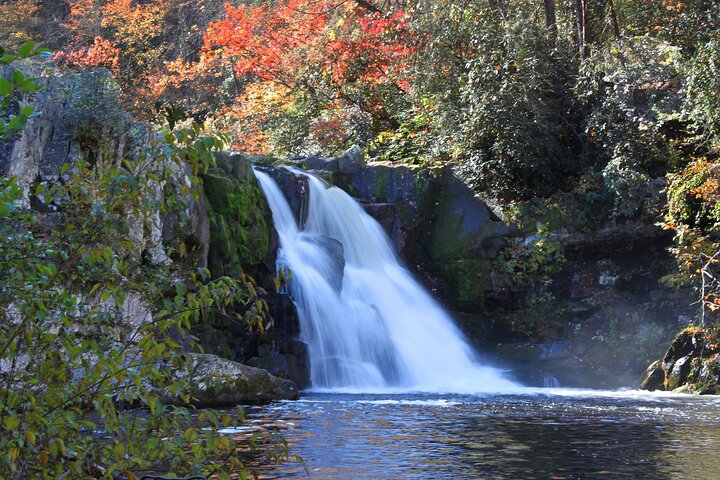 Great Smoky Mountains & Cades Cove Self-Guided Driving Tours