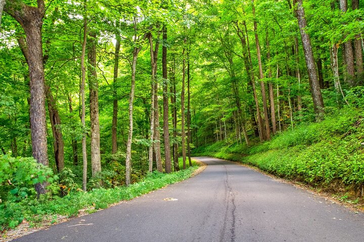 Great Smoky Mountains & Cades Cove Self-Guided Driving Tours