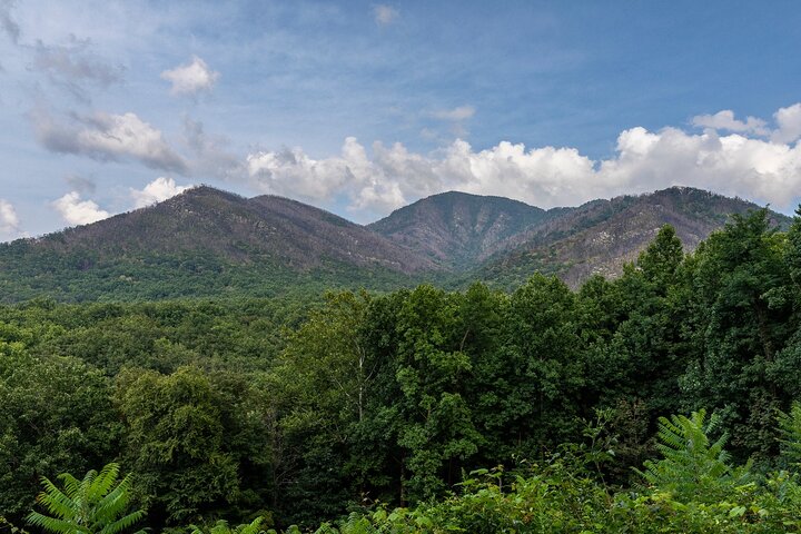 Great Smoky Mountains & Cades Cove Self-Guided Driving Tours