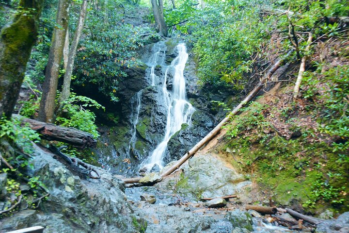Great Smoky Mountains & Cades Cove Self-Guided Driving Tours