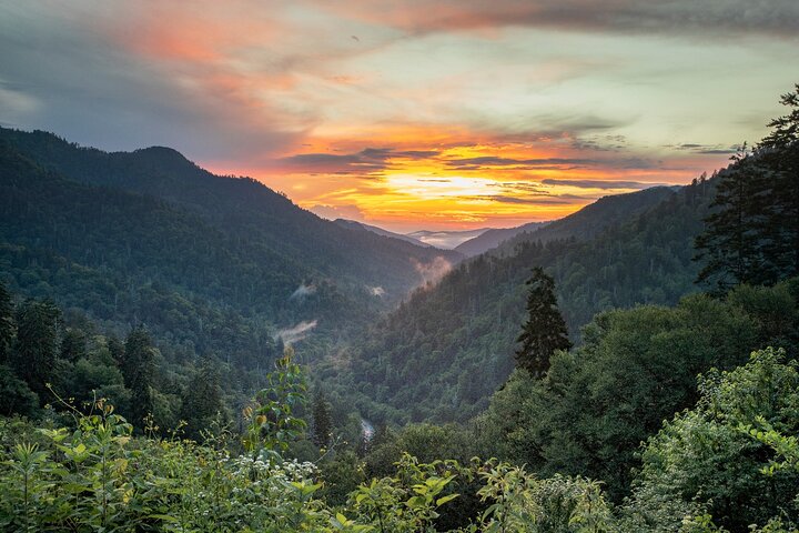 Great Smoky Mountains & Cades Cove Self-Guided Driving Tours