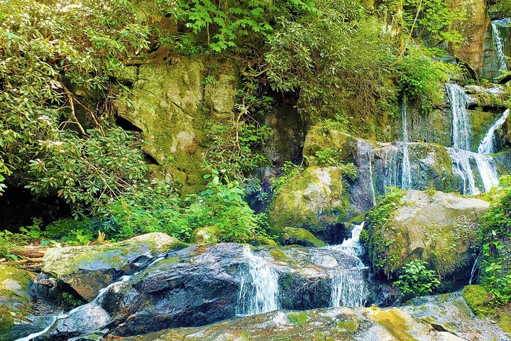 Great Smoky Mountains & Cades Cove Self-Guided Driving Tours