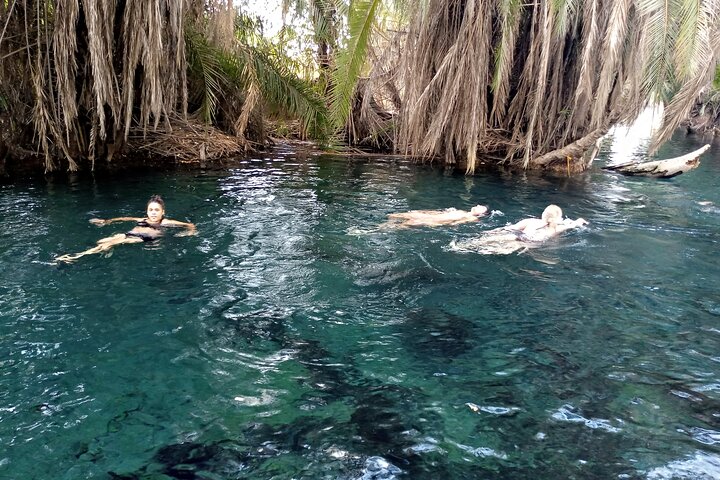 1 Full Day to Materuni Waterfalls, Coffee Tour & Chemka Hotspring
