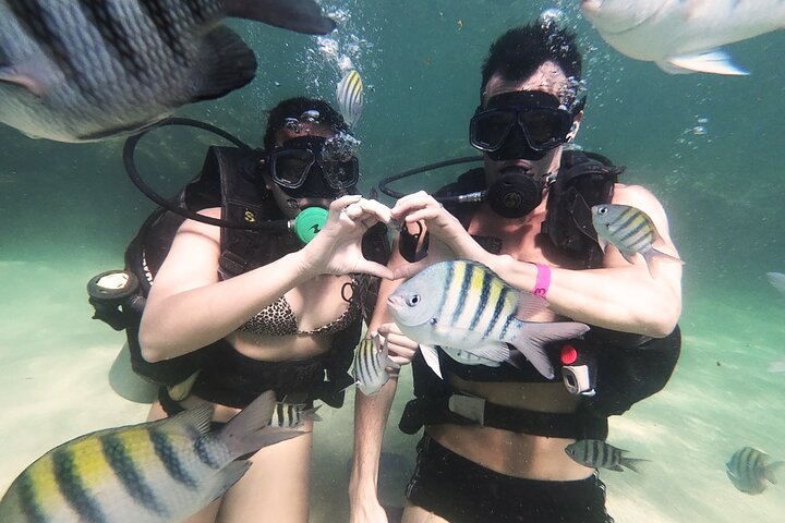 Porto de Galinhas Day Trip
