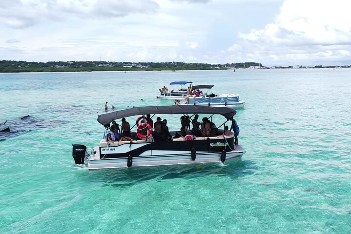 Private Pontoon Day by the Aquarium and San Andres Bay