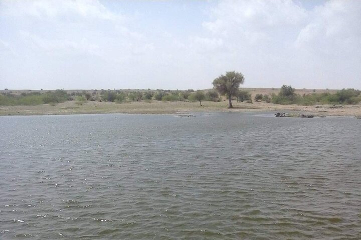 Non-touristic overnight camel safari