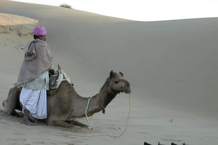 Non-touristic overnight camel safari