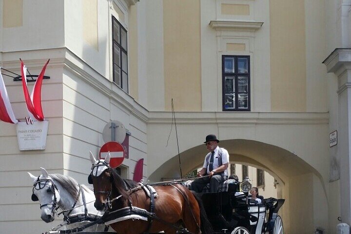 Private car or minivan transfer from Budapest to Vienna or back.