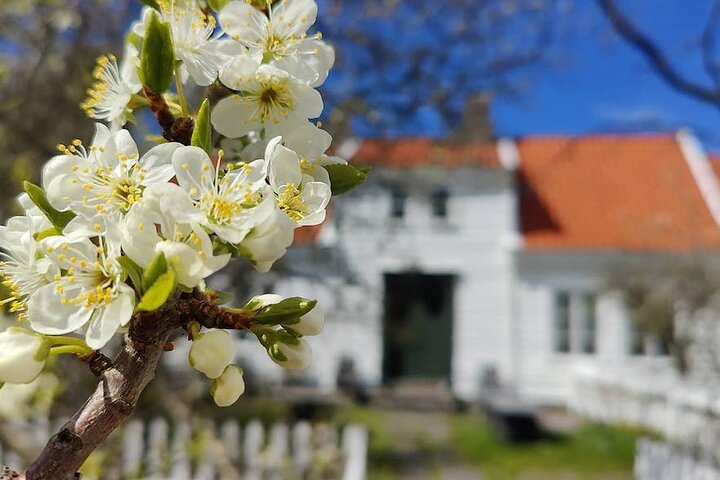 Highlights of the Region -City/Skudenes/Avaldsnes Guided Bustour
