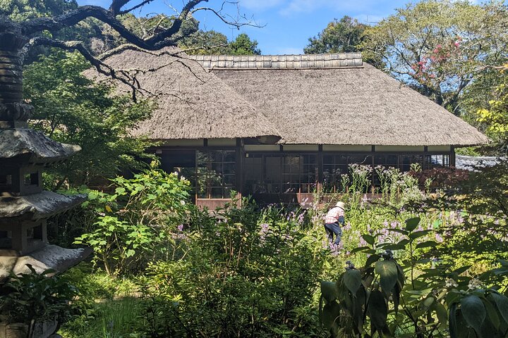 Kamakura Historical Discovery | Private Licensed Guide & Driver