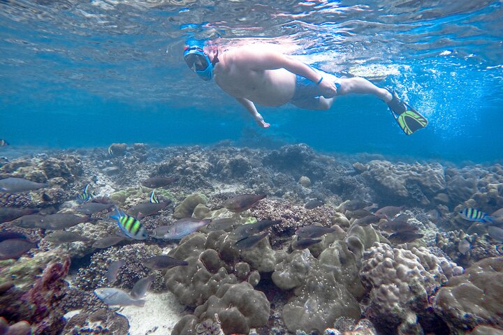 Phi Phi Islands Adventure Day Trip w/ Seaview Lunch by V. Marine