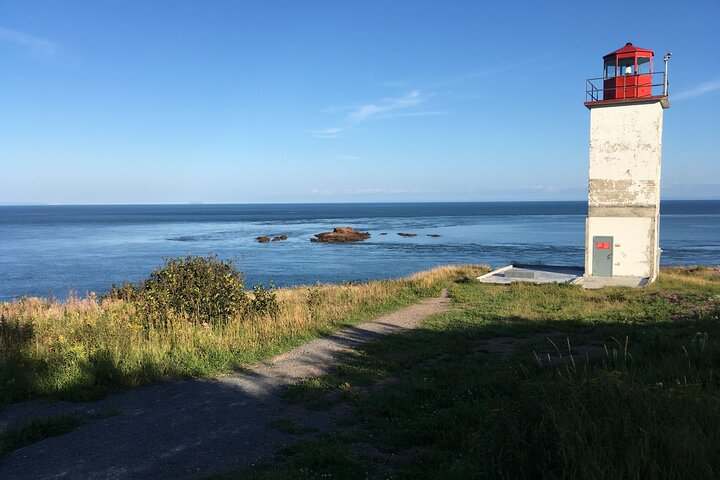 Go Fundy Tours