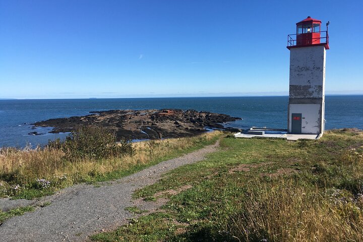 Go Fundy Tours