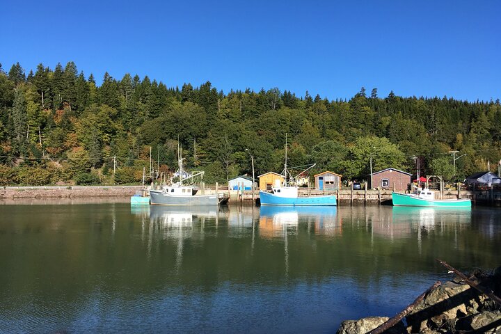 Go Fundy Tours