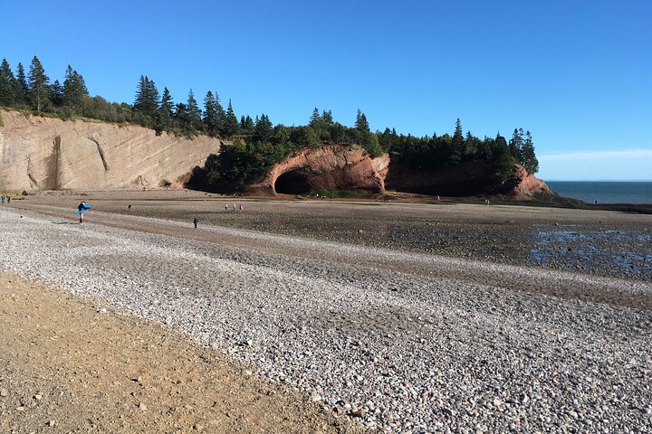 Go Fundy Tours