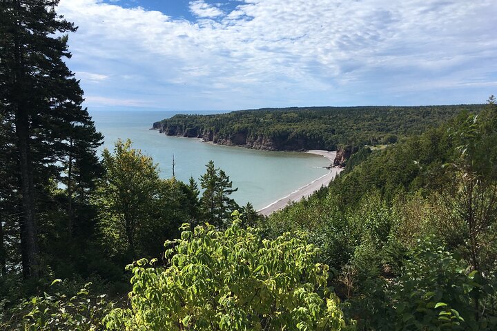 Go Fundy Tours