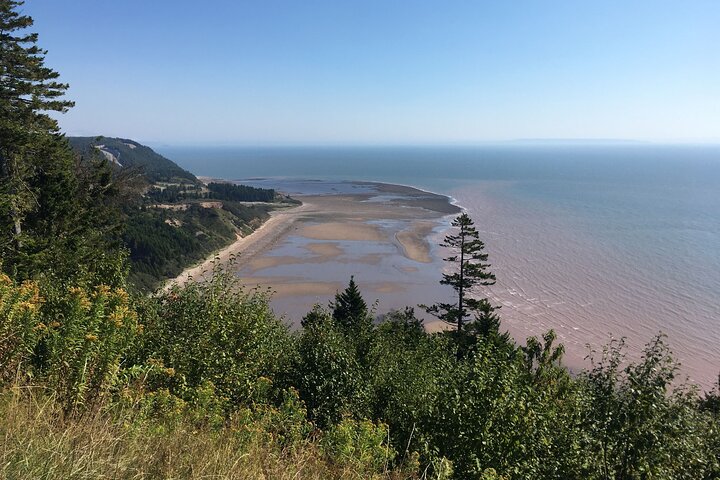 Go Fundy Tours