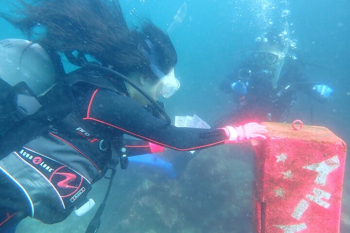 Let's enjoy Scuba diving in Izu Peninsula for certificate Diver