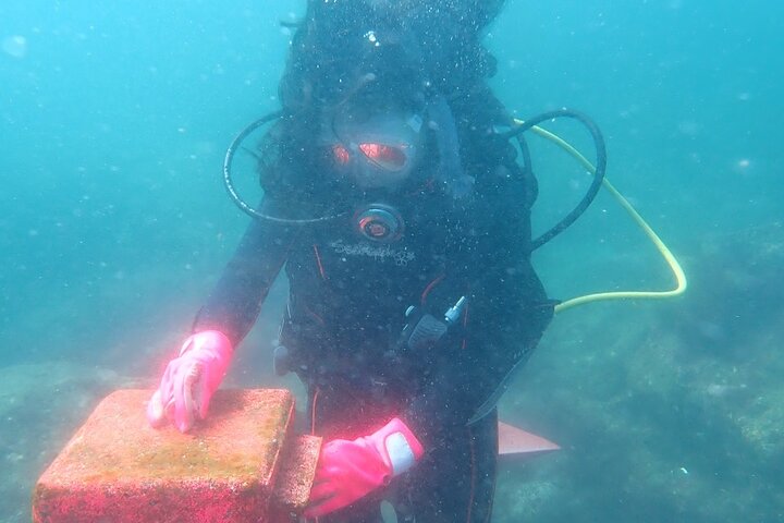 Let's enjoy Scuba diving in Izu Peninsula for certificate Diver