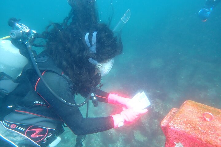 Let's enjoy Scuba diving in Izu Peninsula for certificate Diver