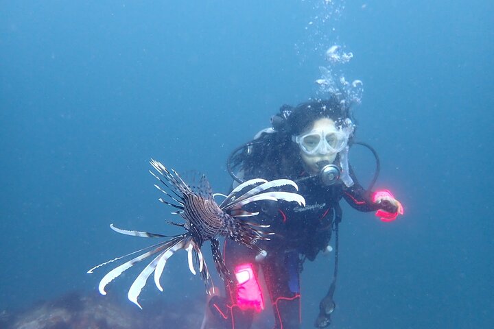 Let's enjoy Scuba diving in Izu Peninsula for certificate Diver