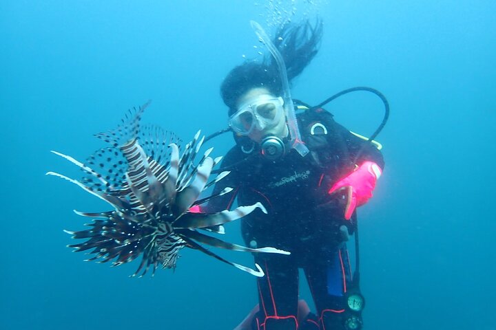 Let's enjoy Scuba diving in Izu Peninsula for certificate Diver