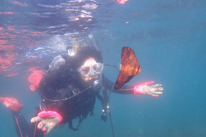 Let's enjoy Scuba diving in Izu Peninsula for certificate Diver