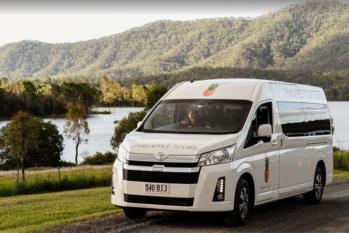 Hop on Hop Off Bus - Tamborine Mountain from Gold Coast