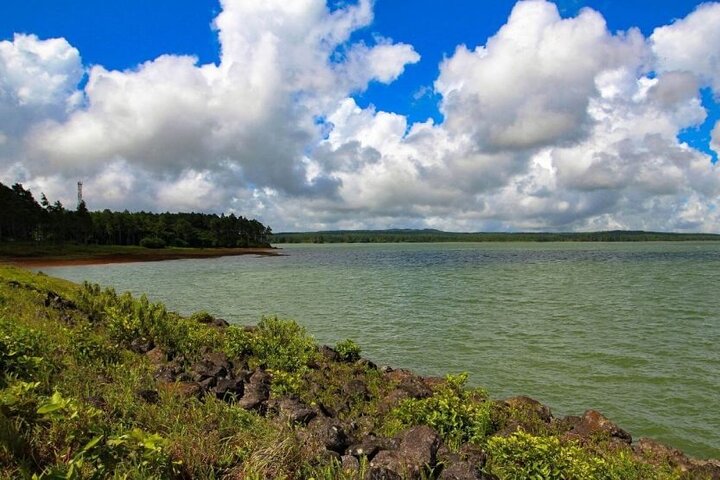 Enchanting South West - Full Day Tour with CASELA Park and Lunch
