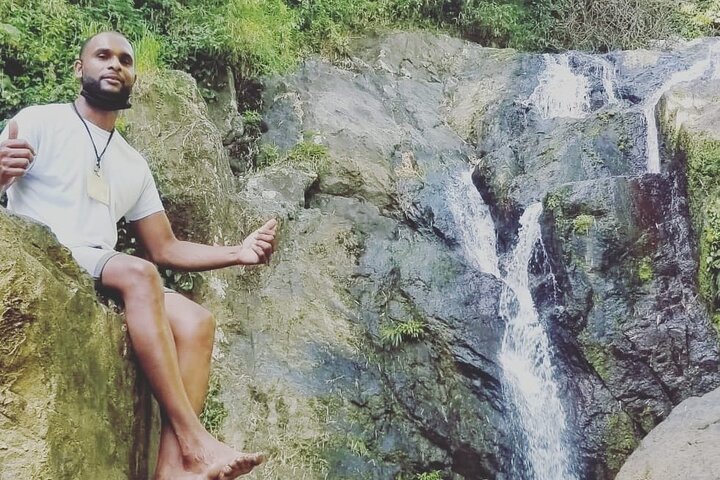 Birdwatching, Waterfall, Rainforest and Island Nature Tours