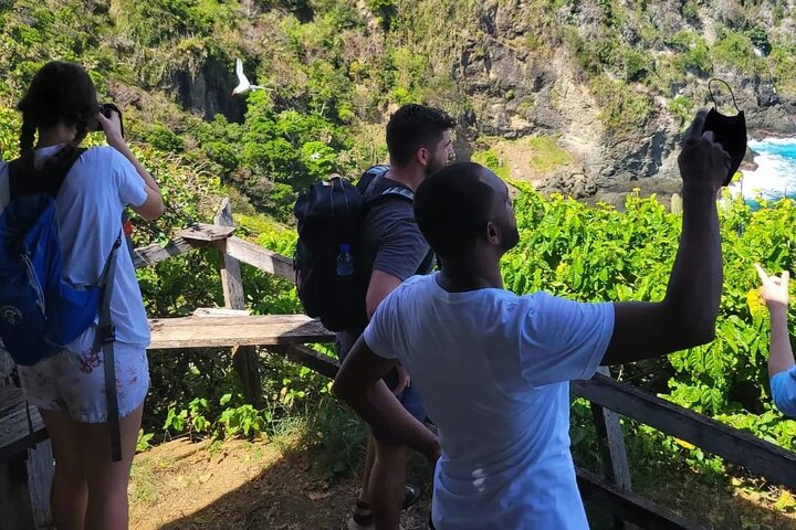 Birdwatching, Waterfall, Rainforest and Island Nature Tours