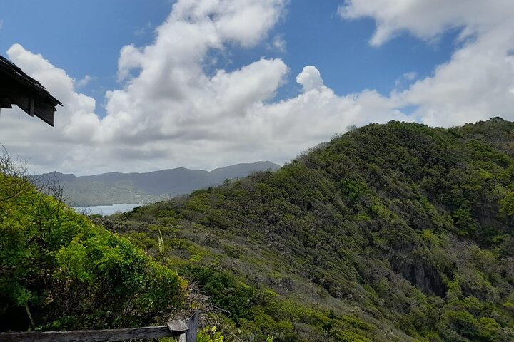 Birdwatching, Waterfall, Rainforest and Island Nature Tours