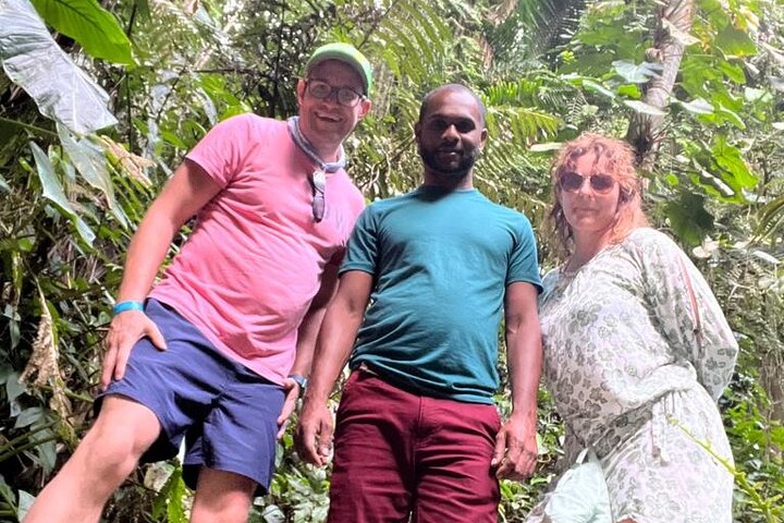 Birdwatching, Waterfall, Rainforest and Island Nature Tours