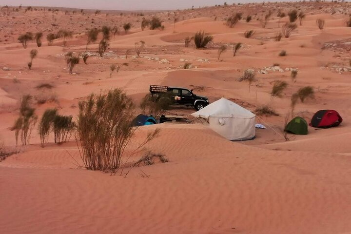 A Private Night at Desert Douz Tozeur