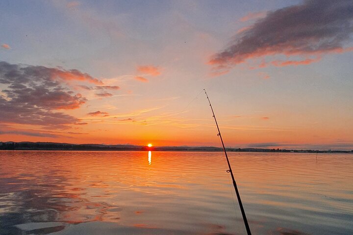 Fishing Tour with a Fishing Boat at Lake Constance (Untersee)