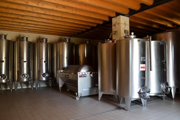 Amarone Della Valpolicella Wine Experience - Meet the Vogadori Family