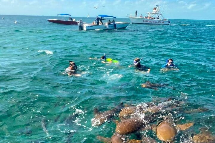 Bus transfer from Flores, Guatemala to Belize City
