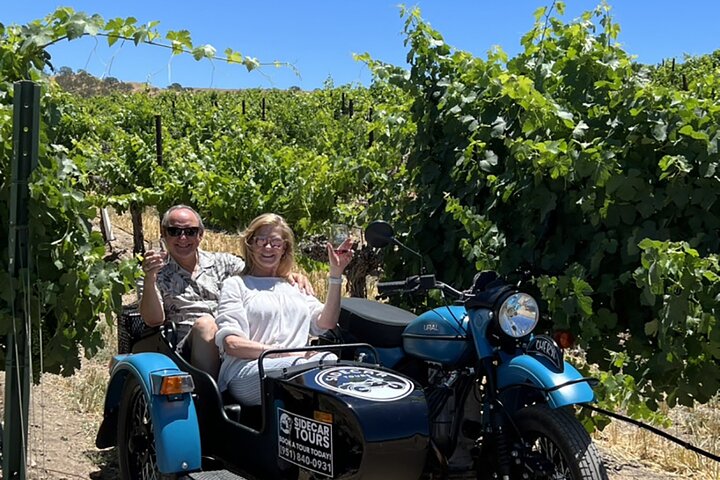 Private Sidecar Winery Tour through Paso Robles