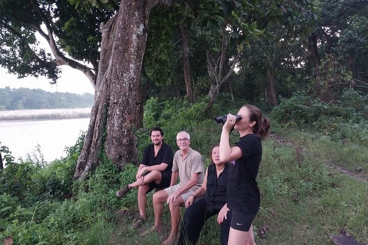 Jungle Towernight Stay In Chitwan National Park ,nepal-2 Nights 3 Days Package