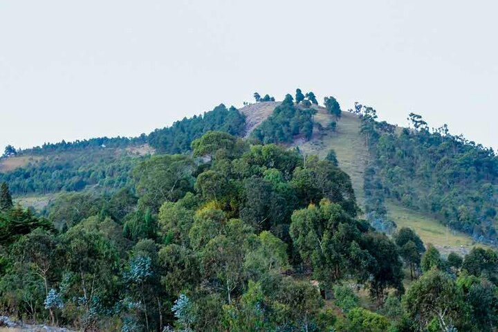From Bujumbura: Private Day Tour-Gitega-Gishora Drum Sanctuary